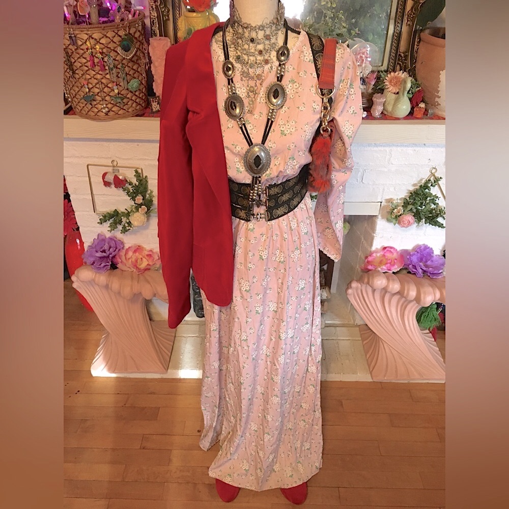 Scarlet Darkness pink posies dress